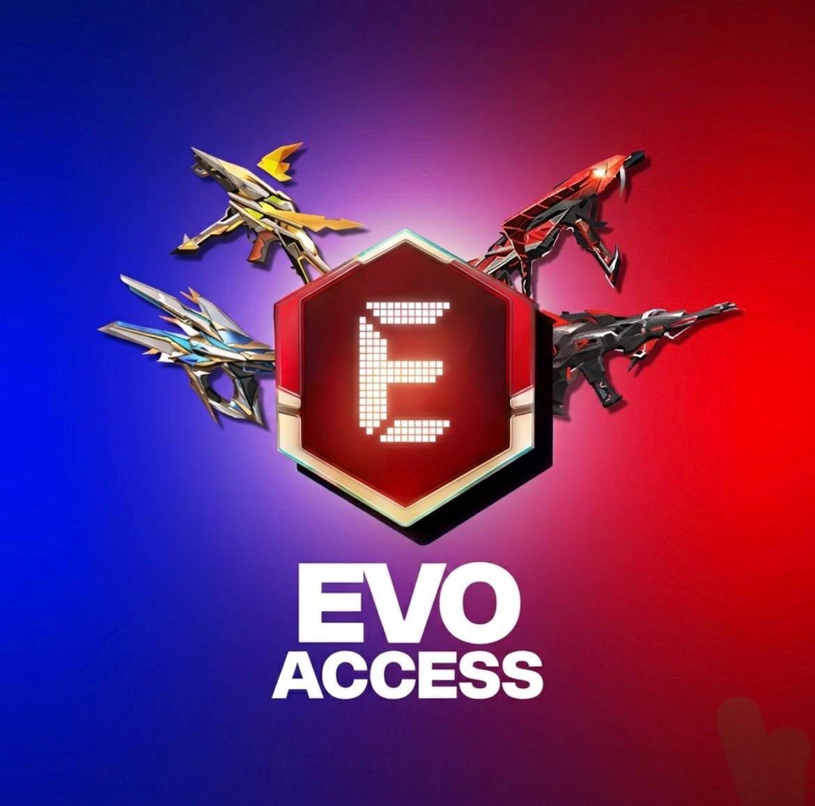 Evo Access